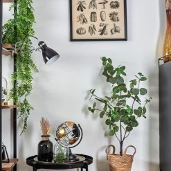 Hofstein Brienz Klemmleuchte Chrom, Schwarz, 1-flammig -Bürolampen Verkäufe brienz klemmleuchte h3545331 11