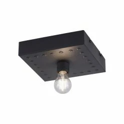 Hofstein Leuchten Direkt SAMIA Deckenleuchte Schwarz, 1-flammig -Bürolampen Verkäufe leuchten direkt samia deckenleuchte 11917 18 2