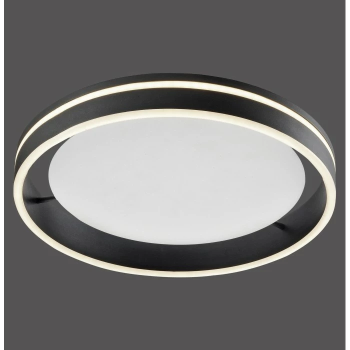 Paul Neuhaus Q-Serie Paul Neuhaus Q-VITO Deckenleuchte LED Anthrazit, 1-flammig, Fernbedienung 2 Paul Neuhaus Q-Serie Paul Neuhaus Q-VITO Deckenleuchte LED Anthrazit, 1-flammig, Fernbedienung – Bild 2