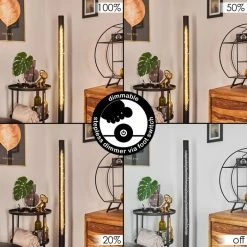 Hofstein Rodeche Stehleuchte LED Messing, Schwarz, 1-flammig -Bürolampen Verkäufe rodeche stehleuchte h3439388 1